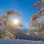Winterfoto Wagrain - Verschneite Bäume